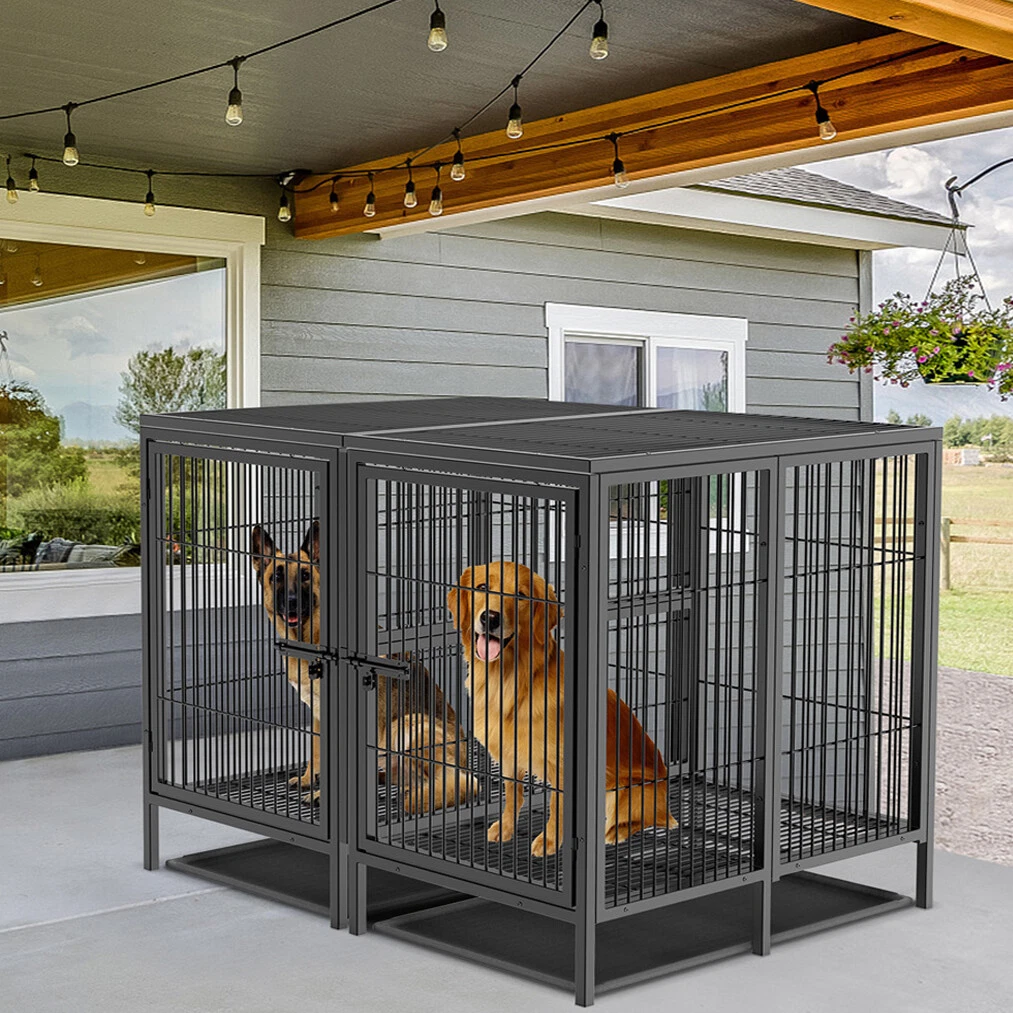 Can I Put 2 Dogs In One Crate