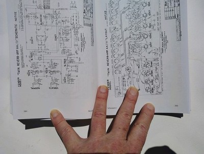 A Desktop Reference of Hip Vintage Guitar Amps by Gerald Weber