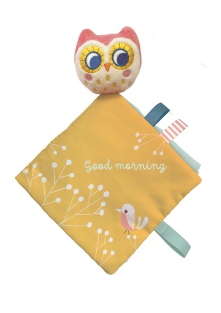 Little Owl (Rag book)