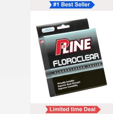 Fluorocarbon Coated Copolymer Fishing Line 2 LB 300 Yard Clear Low Memory