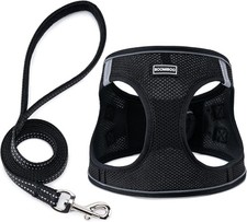 No Pull Dog Harness  Leash Set   Adjustable, Reflective, Soft Padded Comfort