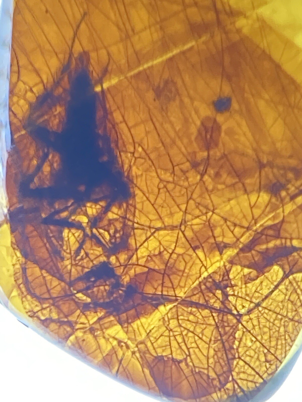 Picture 4 of 8