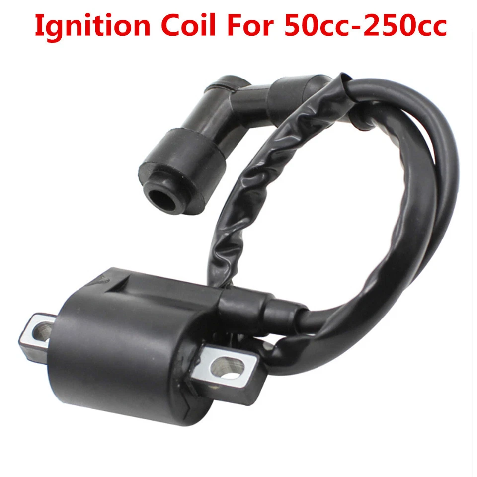 Coil Ignition For Chinese Motor Dirt Bike ATV Quad 50 70 110 125 150 200 250cc Foto 2 de 4