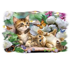 Playful Kittens Shirt, Two Cats Playing T Shirt, Butterflies & Flowers, womans
