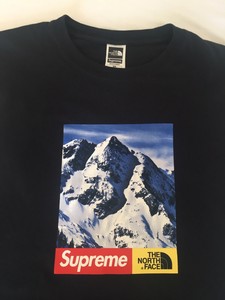 supreme tnf mountain tee