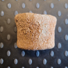 Fragmente von Walknochen (?), Tertiär Miozän, Groß Pampau