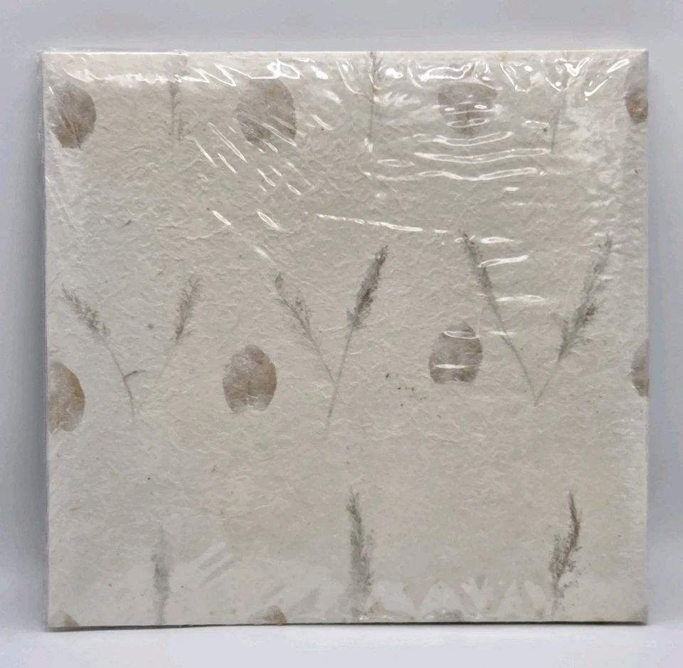 Libro de memoria Pioneer hojas texturizadas EZ carga libre de ácido 12x12 20 páginas de carga superior Foto 4 de 4