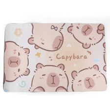 Capybara Cartoon Bath Mat Non Slip Absorbent Rug for Coastal Beach House Decor