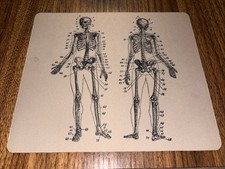 MOUSE PAD DESK MAT ANTI-SLIP OF SKELETON Posterior Anterior Views