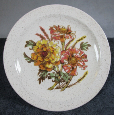 Schöner Vintage Retro Palissy Royal Worcester Charlotte Floral Speiseteller 23 cm