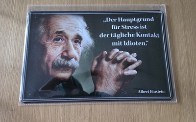 Blechschild Sprüche Neu 20x30 Einstein