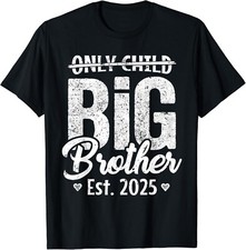 Only Child Big Brother 2025 Promoted To Big Brother 2025 Gift Unisex T-Shirt