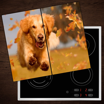 Herdabdeckplatten aus Glas Spritzschutz Hund GoldenRetriever - 2x30x52 cm