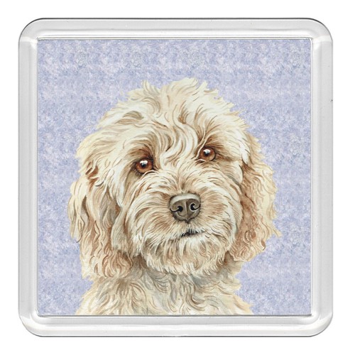 Cockapoo Cute Puppy Dog Acrylic Coaster Novelty Drink Cup Mat Great Gift - 第 1/1 張圖片