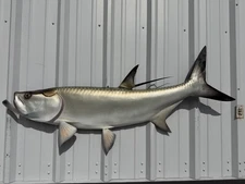 57" Tarpon Half Mount Fish Replica - Quick Production