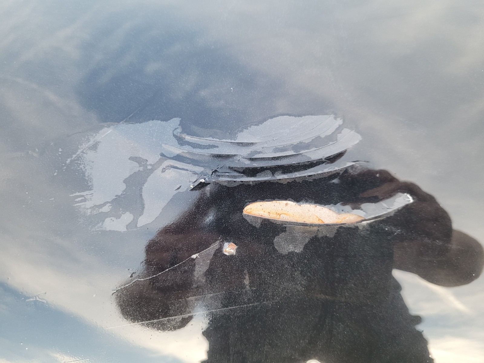 1949/1950/1951 Mercury Hood And Trunk Lid