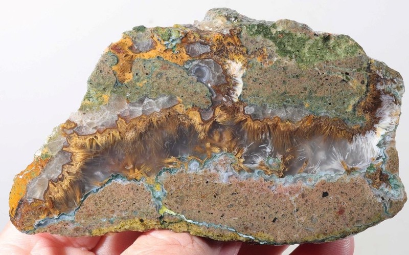 Needle Peak Texas 7.5 oz. Sagenite Agate lapidary faced rough lot B
