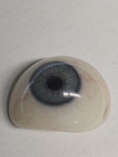 Human Prosthetic Eyeball