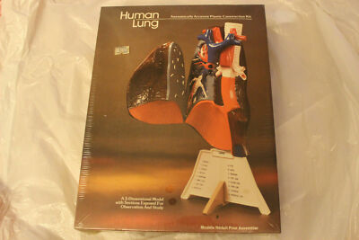 Lindberg Human Lung Model Kit NIB Factory Sealed No. 1340