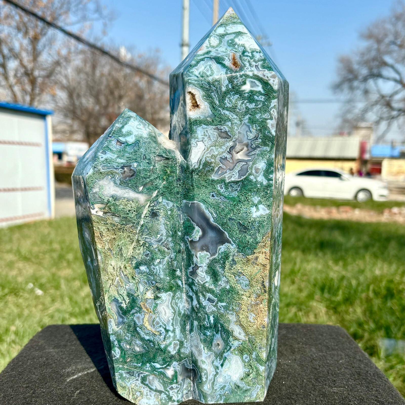Picture 10 of 20