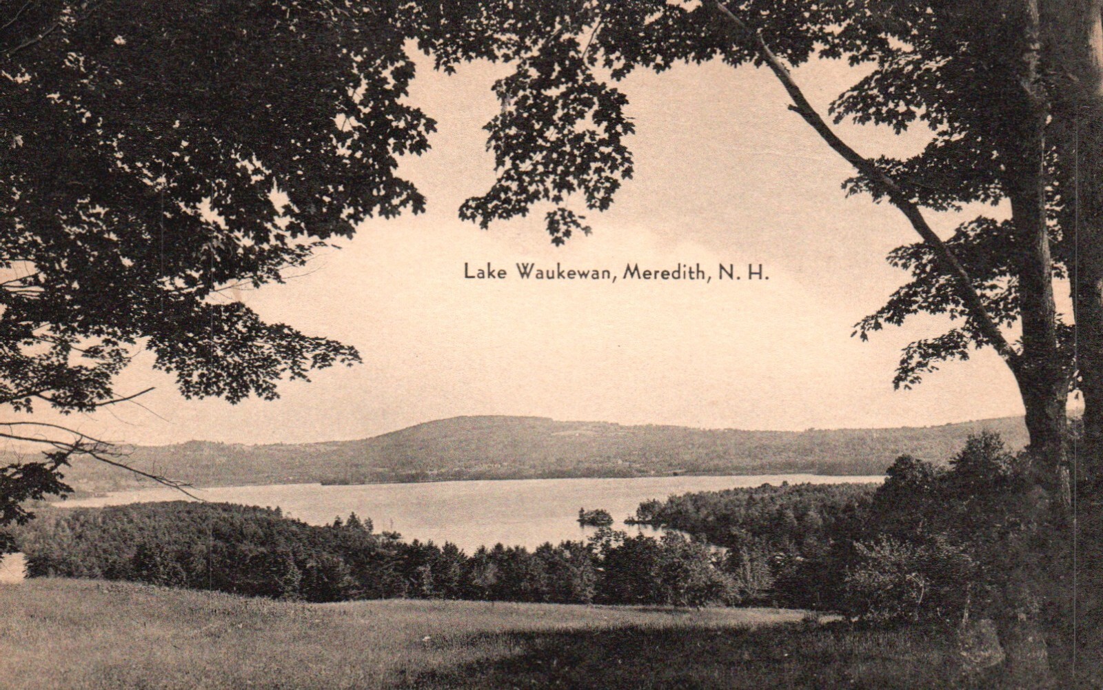 Postcard NH Meredith New Hampshire Lake Waukewan Antique Vintage PC