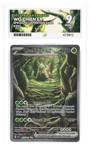 Wo-Chien ex graded ACE 9 for sale on eBay