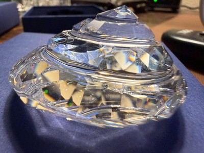 Swarovski SHELL 9100 NR 000 065 MINT IN BOTH BOXES