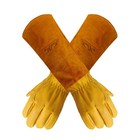 Foto 1 di 4