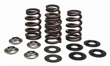 KPMI Racing Valve Spring Kit 96-96500