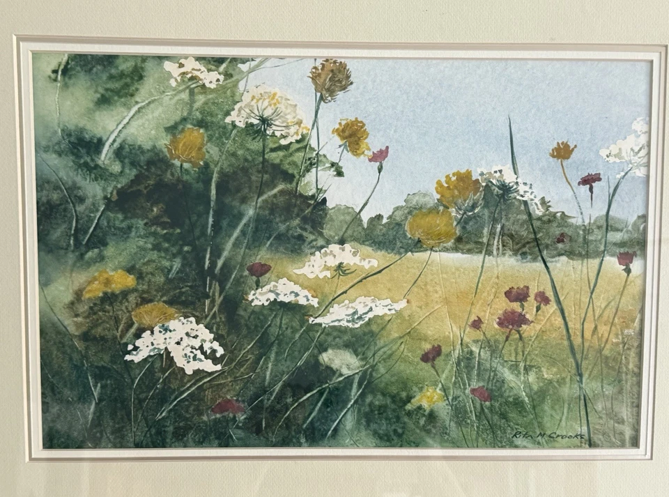 丽塔·M·克鲁克斯签名水彩草甸野花上市艺术家框 27x21 — 第 4/4 张图片
