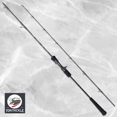 Tenryu HORIZON MJ HMJ5101B-MH Baitcasting Rod Light Jigging Game