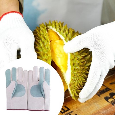 Gartenhandschuhe Durian Pflückhandschuhe für Gartenarbeit Lebensmittel Heimwerker Projekte