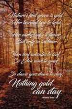 Nothing Gold Can Stay Robert Frost Poem Poetry Art Print Poster 12x18