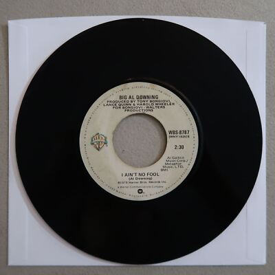 BIG AL DOWNING ''TOUCH ME'' ''I AIN'T NO FOOL'' VINYL 45 WARNER BROS. VG 5-60