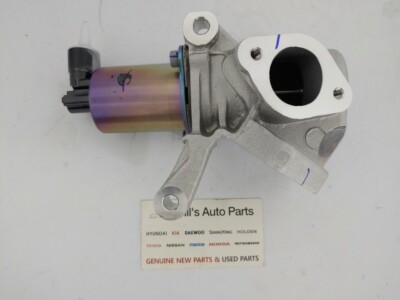 Ssangyong egr remover