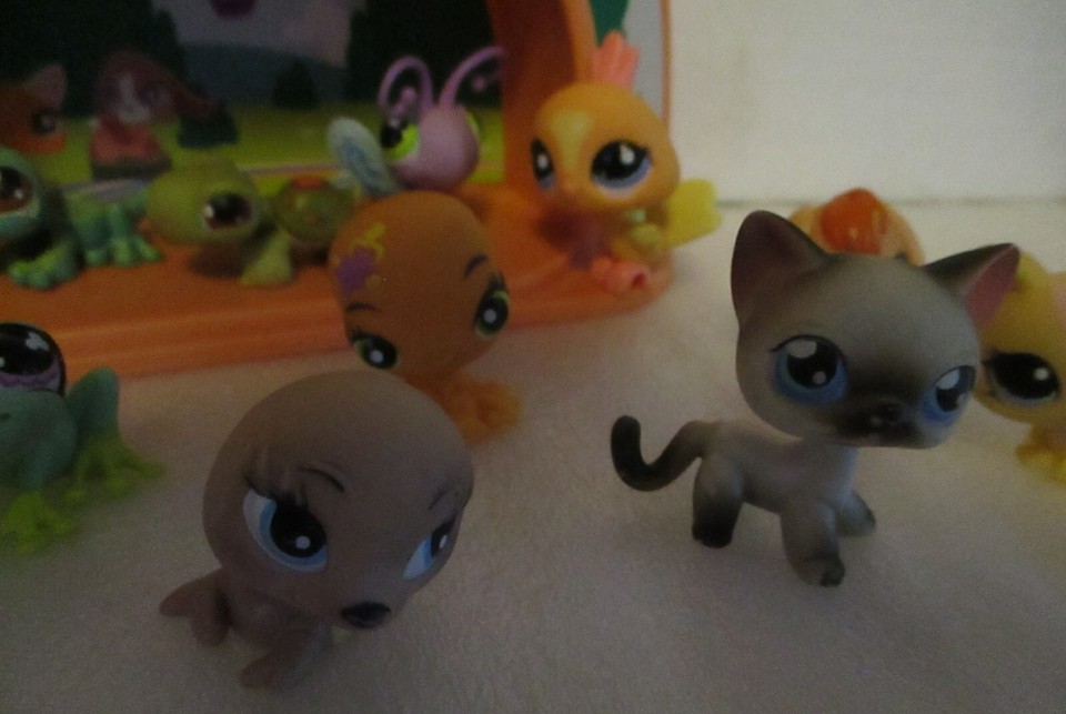 Littlest Pet Shop Lightup stage & 13 animals eBay