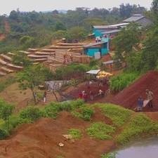 AA KAHINDU KENYA COFFEE BEANS MEDIUM ROASTED 5 POUNDS IN 1 POUND BAGS