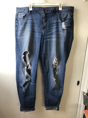 lane bryant boyfriend jeans Distressed 