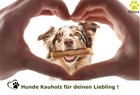 Bild 49 von 49