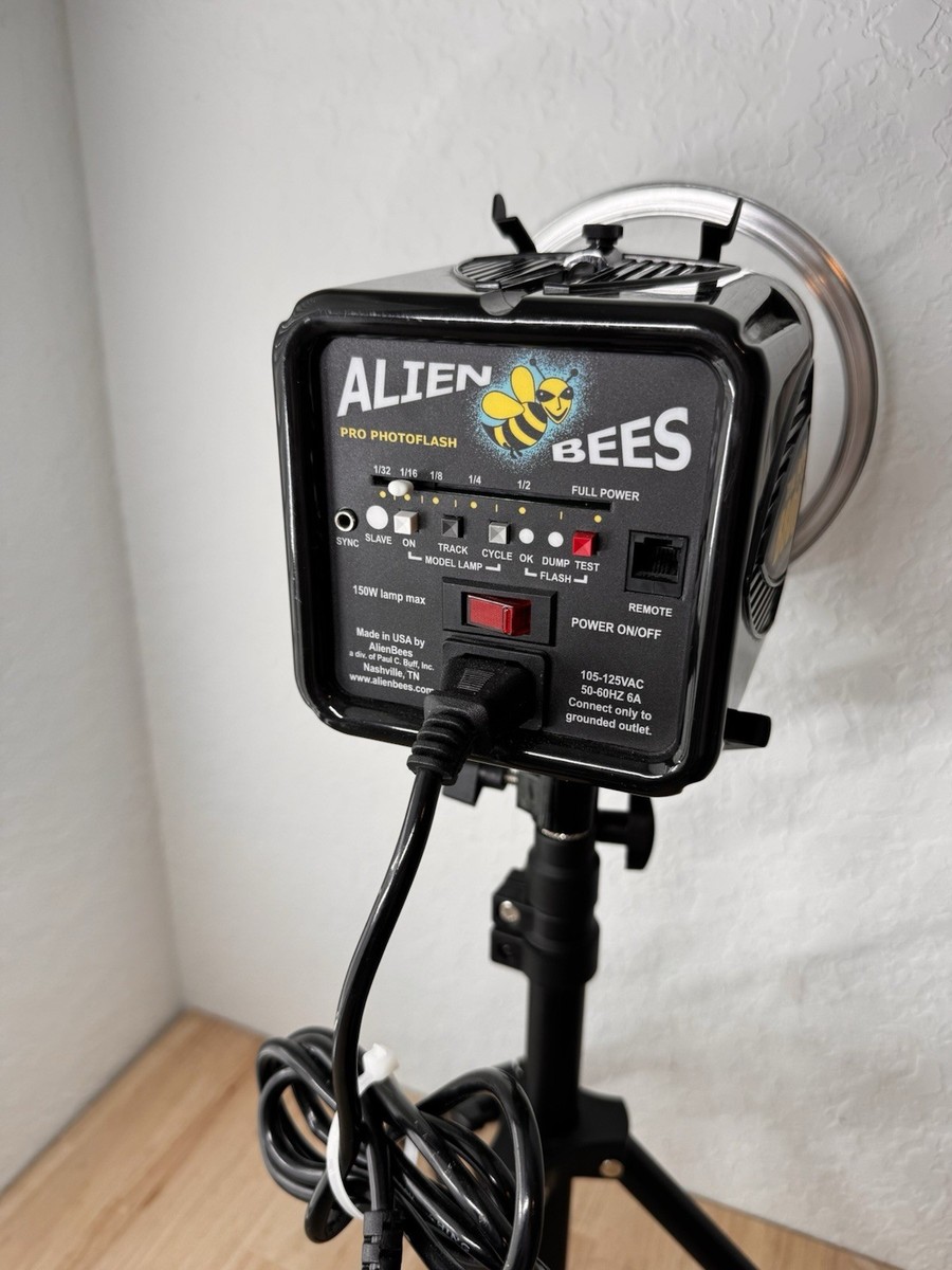 Rent a AlienBees B800 2-Head Strobe Package