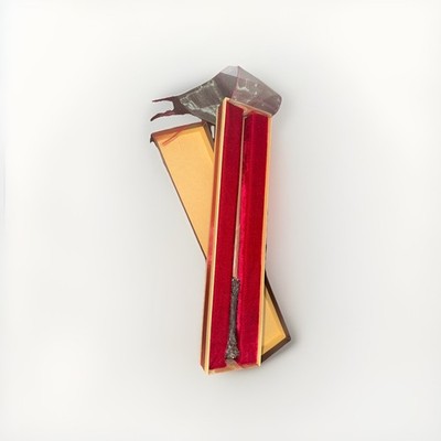 HARRY POTTER Zauberstab Ollivander + Noble Wand Stand Gryffindor OVP