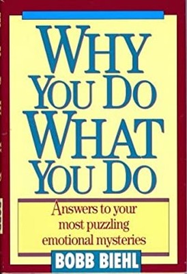Why You Do What You Do Hardcover Bobb Biehl
