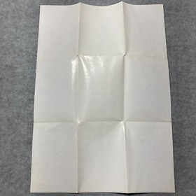 Camerica Codemasters 4 Quattro Dizzy Robin Hood NES Nintendo Insert Poster Only