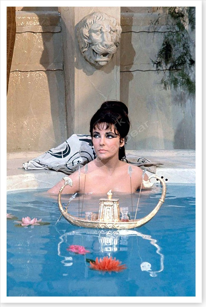 green emerald velvet dress Amazon.com: Elizabeth Taylor in a green dress Photo Print (8 x 10) : Sports  & Outdoors