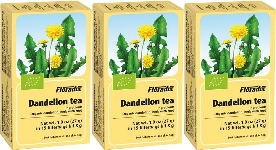 Floradix Herbal Tea Dandelion 15 Teabags X 3