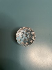 Clear Glass Paperweight Golf Ball