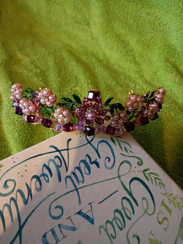 Beautiful Bridal Tiara Unbranded 