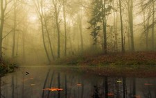 Landscape nature mist forest morning trees leaves fall Custom Gaming Mat Desk