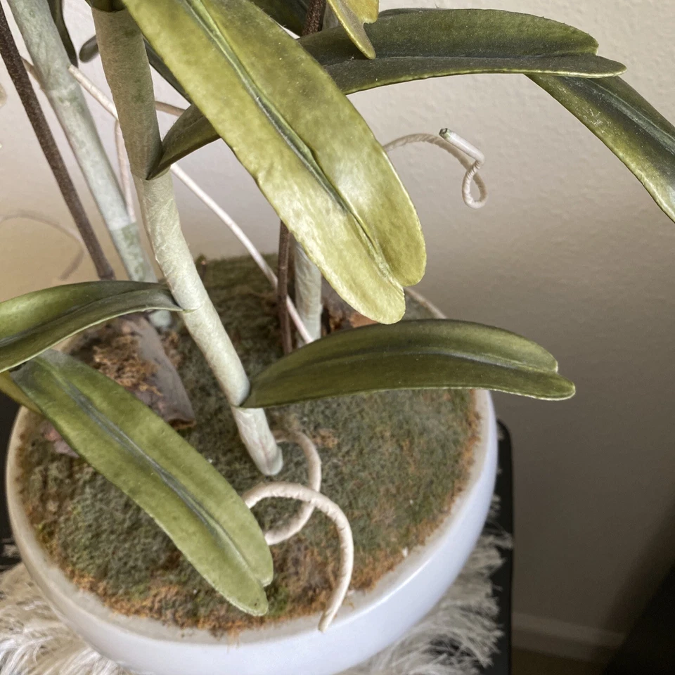 The CG Hunter Planta de Orquídea Blanca, Expositor de Flores Interior Artificial Premium 36" Foto 3 de 4