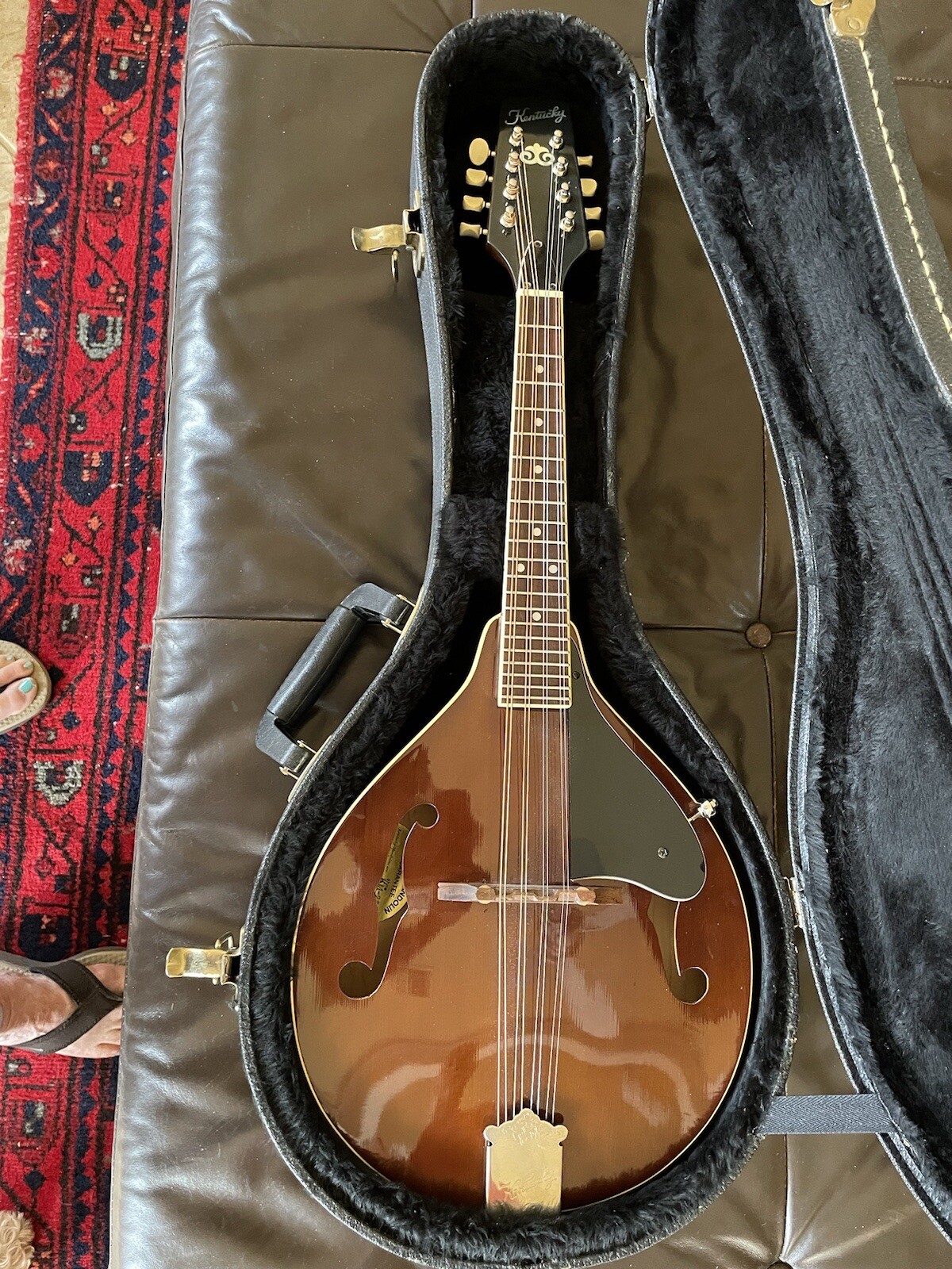 mandolins musical instrument Kentucky eBay